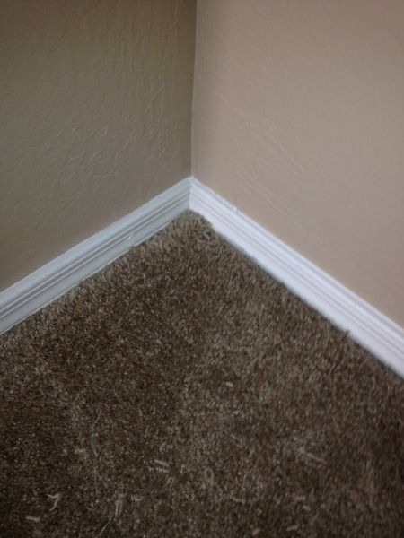 Carpet Repair Services Carpet Repair Services