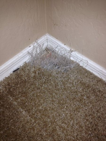 Carpet Repair Services Carpet Repair Services