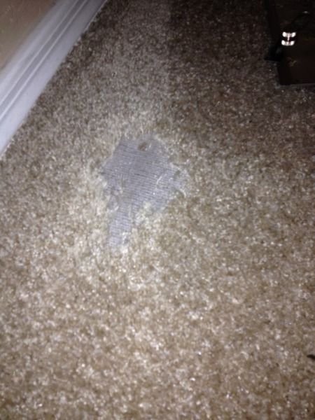 Carpet Repair Services Carpet Repair Services