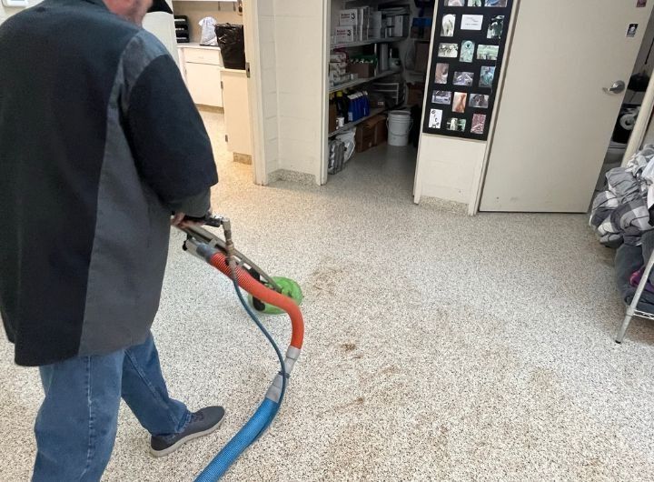 The Best Local Tile Cleaners in Your Area! Call Today (480) 968-0849 The Best Local Tile Cleaners in Your Area! Call Today (480) 968-0849
